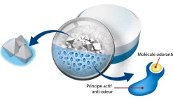 Rubson 5 recharges neutre pour absorbeur d'humidité Aéro 360° 20m² + 1 recharge lavande* Absorbeur D'Humidité