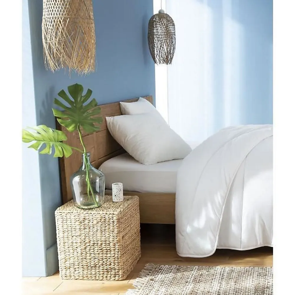Lot de 2 Oreillers FluffyDream 60 x 60 cm>Abeil Outlet