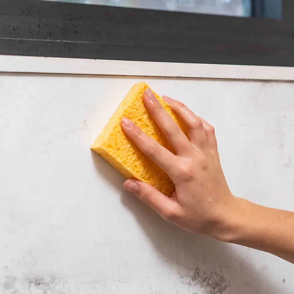 Starwax Anti-moisissures murs et pièces à vivre 500ml* Nettoyant Pour Cuisine