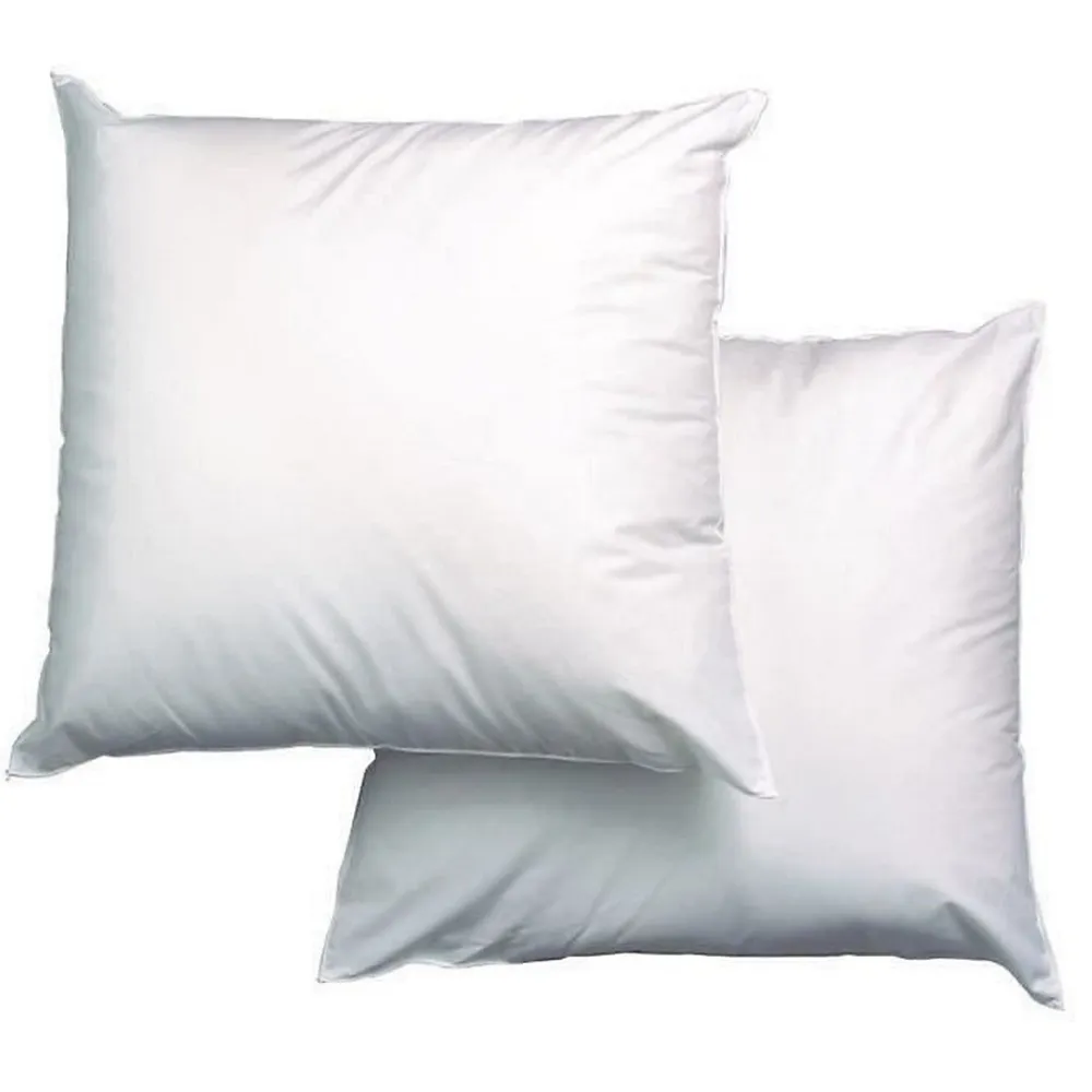 Lot de 2 Oreillers Triple Protection - 60 x 60 cm - Blanc>Blanreve Best