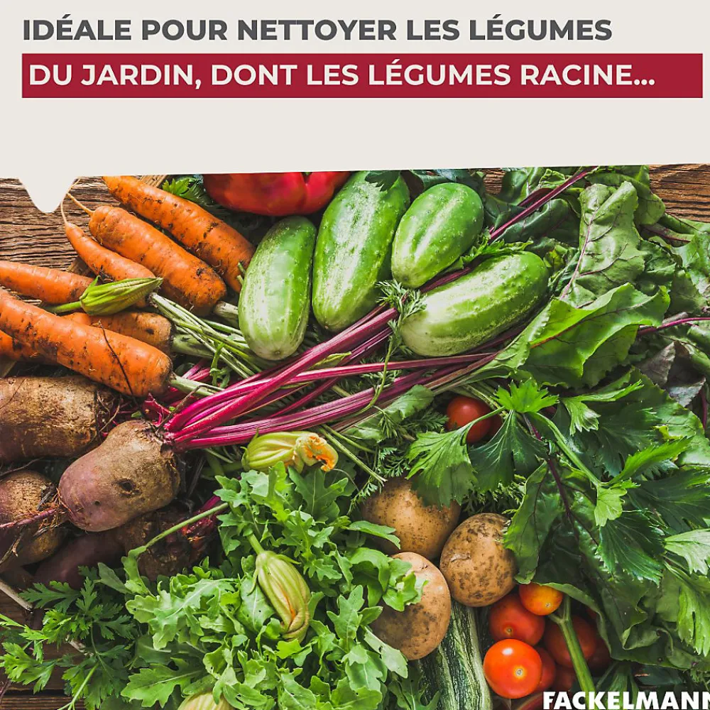Brosse à légumes en bois Wood Edition>Fackelmann New