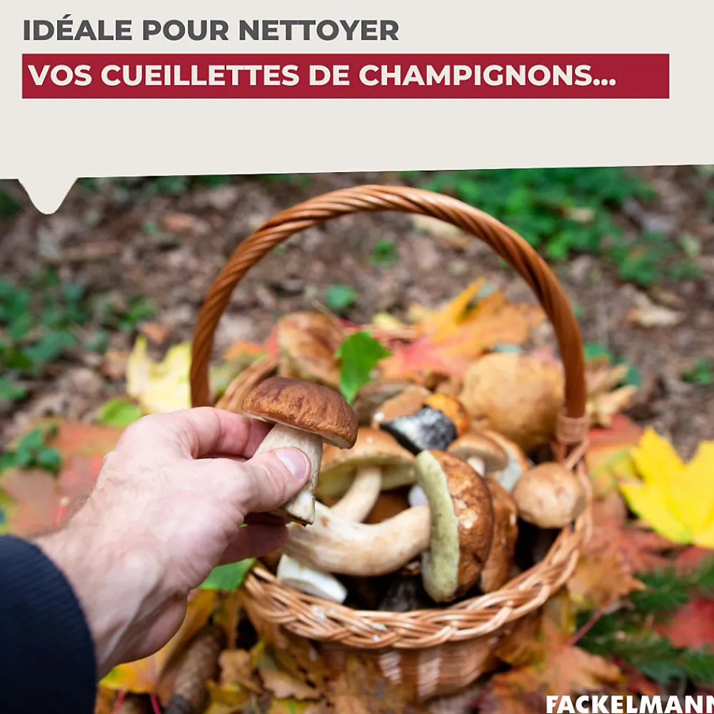 Brosse à légumes en bois Wood Edition>Fackelmann New