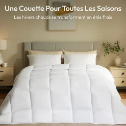 Casabel Couette 220x240 cm Hiver Légère, 450 GSM Microfibre Douce et Respirante, Thermorégulatrice, Lavable, Pour Lit 2 Personnes* Couette