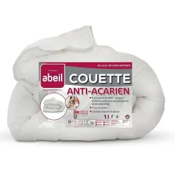 Couette anti-acariens - 220 x 240 cm - Chaude - 400 g/m² 2 personnes - Blanc -><noscript><img width=