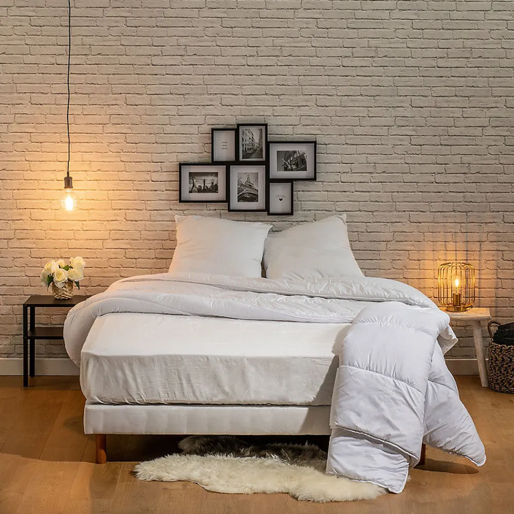 Couette Chaude 220x240cm LA SEGMENTABLE>Bleu Calin Outlet