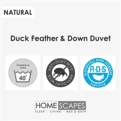 Couette hiver très chaude 135 x 200 cm en duvet et plumes de canard 15 Tog -><noscript><img width=