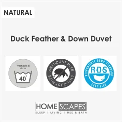 Homescapes Couette hiver très chaude 200 x 200 cm en duvet et plumes de canard 15 Tog -* Couette