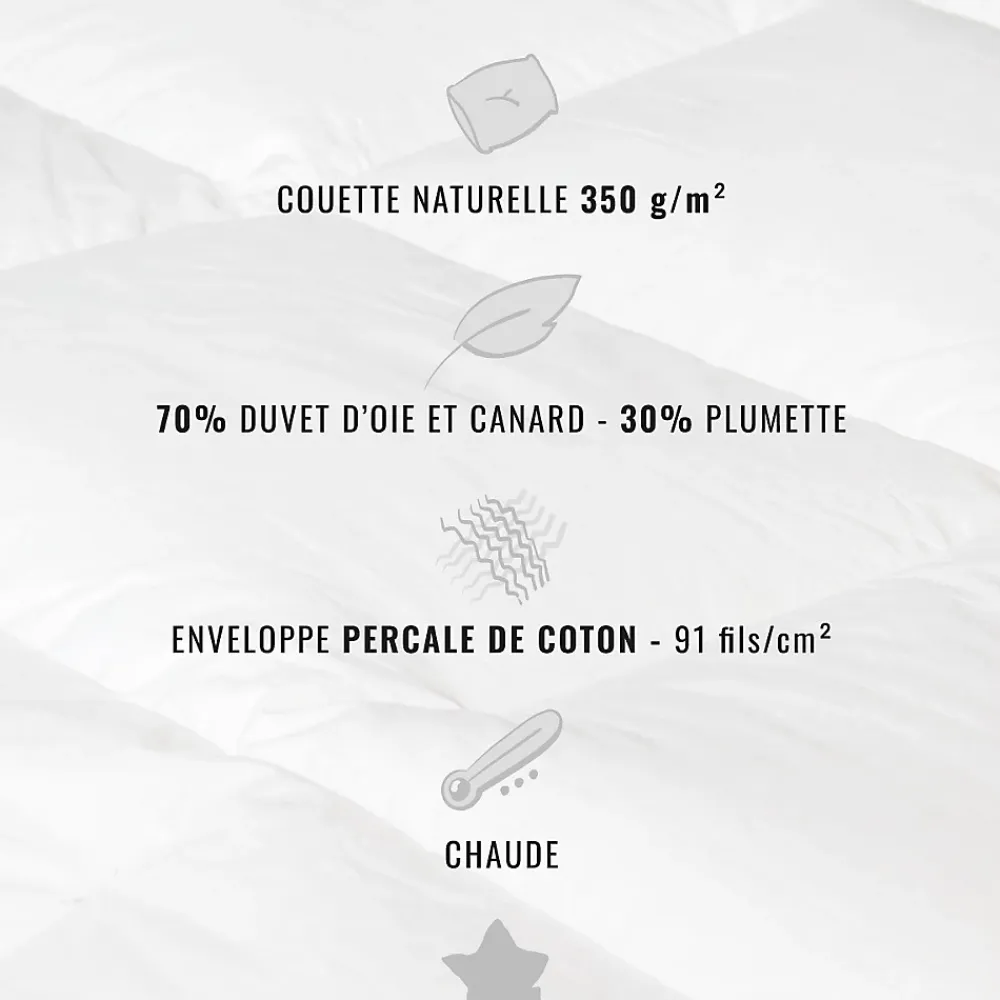 Sensei Maison Couette naturelle - Chaude - 70% duvet anti-acarienne 280x240 cm APPALACHES* Couette