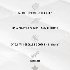 Sensei Maison Couette naturelle - Tempérée - 50% duvet 250 g/m² 280x240 cm AVORIAZ* Couette