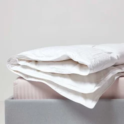 Couette Premium chaude spéciale hiver en duvet d'oie 13.5 Tog - 200 x 200 cm ->Homescapes Sale