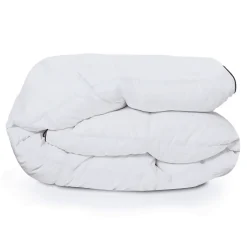 Couette 220x240 CM AELA blanche en plume d'oie anti acarien 500 gr>IDMarket Sale