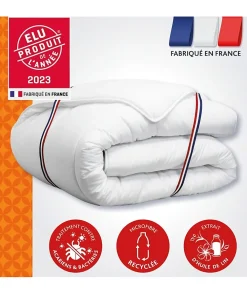 Dodo Couette 240x260 cm CHAMPS DE LIN - Chaude - 450G/m² - Couette 2 personnes -Douce et Chaude -Anti-acariens Antibactériens* Couette