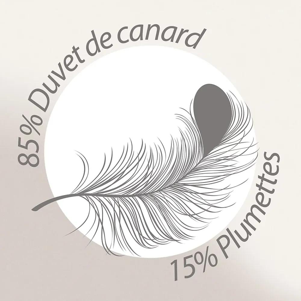 Linnea Couette 300x300 cm hiver FINLANDE garnissage naturel duvet de canard 300g/m2* Couette