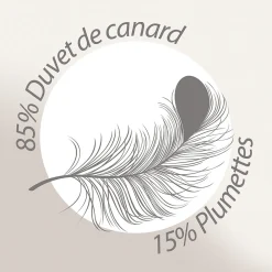 Couette 200x200 cm hiver FINLANDE garnissage naturel duvet de canard 300g/m2><noscript><img width=