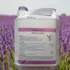 detergent neutre 3D : nettoie, desodorise et desinfecte - Parfum lavande - 5L - Fabrication francaise>Le Plus De L'Entretien New
