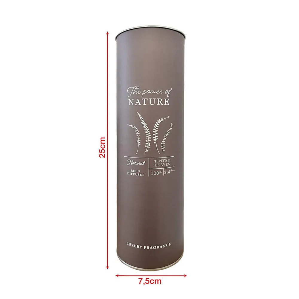 Diffuseur de Parfum d'Intérieur avec 6 Bâtonnets d'Aromathérapie Feuilles Colorées Décoration d'Intérieur>Mobili Rebecca Outlet