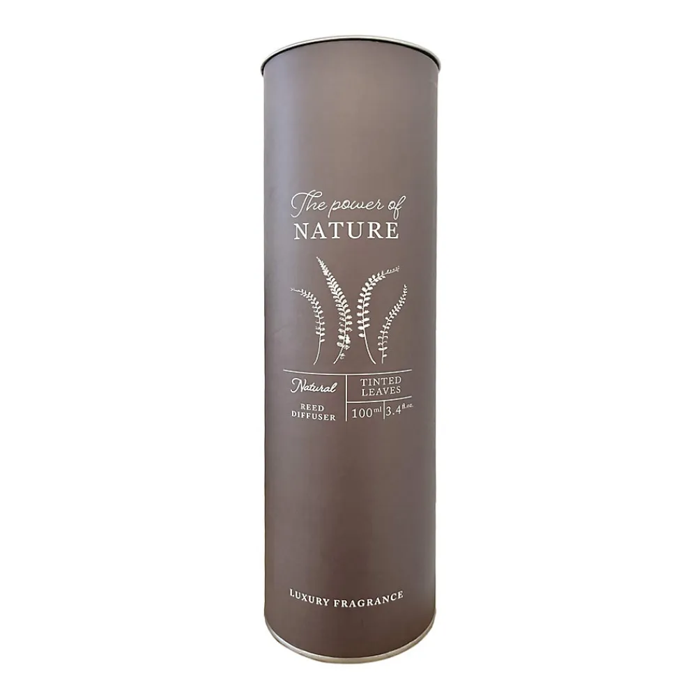 Diffuseur de Parfum d'Intérieur avec 6 Bâtonnets d'Aromathérapie Feuilles Colorées Décoration d'Intérieur>Mobili Rebecca Outlet