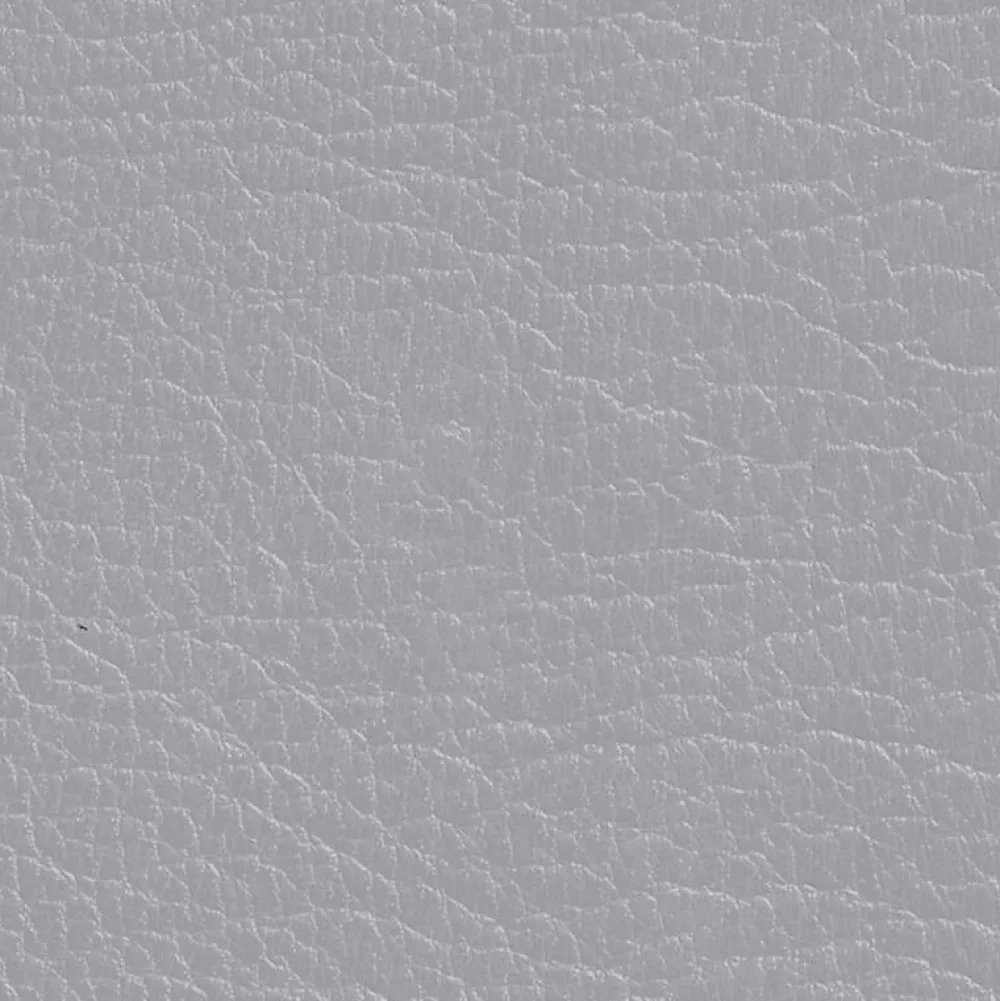 DIRECT COLOR - Recolore le cuir - 250ML GRIS - Les anciens ébénistes>Les Anciens Ebenistes Outlet