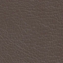 DIRECT COLOR - Recolore le cuir - 250ML CHATAÎGNE - Les anciens ébénistes>Les Anciens Ebenistes Clearance