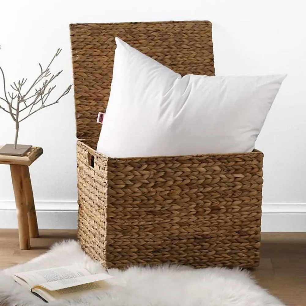Lot de 2 Oreillers Anti-Acariens Belle Nuit 60x60 cm blanc>Dodo Outlet