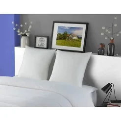 Lot de 2 Oreillers MERIBEL Plumettes 60x60cm><noscript><img width=