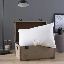 Oreiller Grand luxe Quallofil Allerban 50x70cm><noscript><img width=