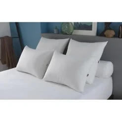 Oreiller Grand luxe Quallofil Allerban 50x70cm><noscript><img width=