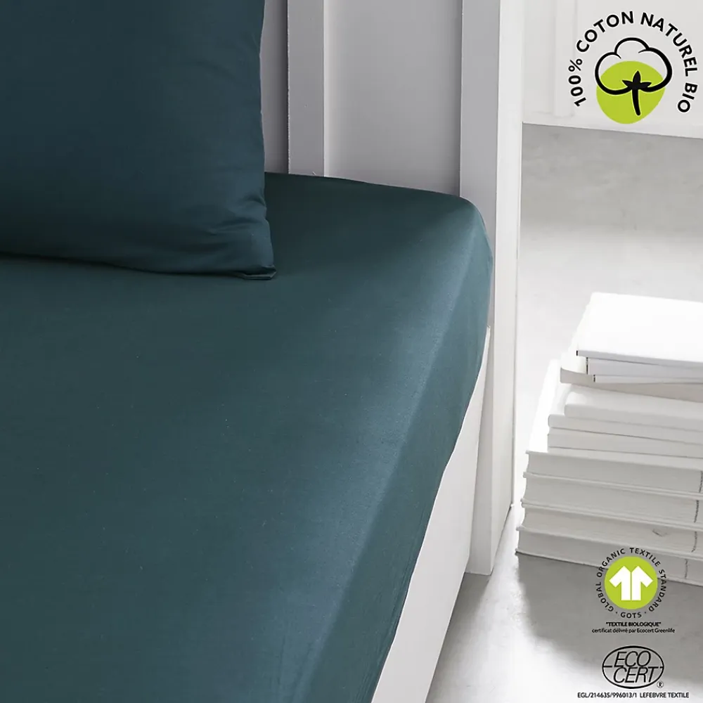 Today Drap housse 2 places - 100% coton BIO* Drap Housse|Drap Housse