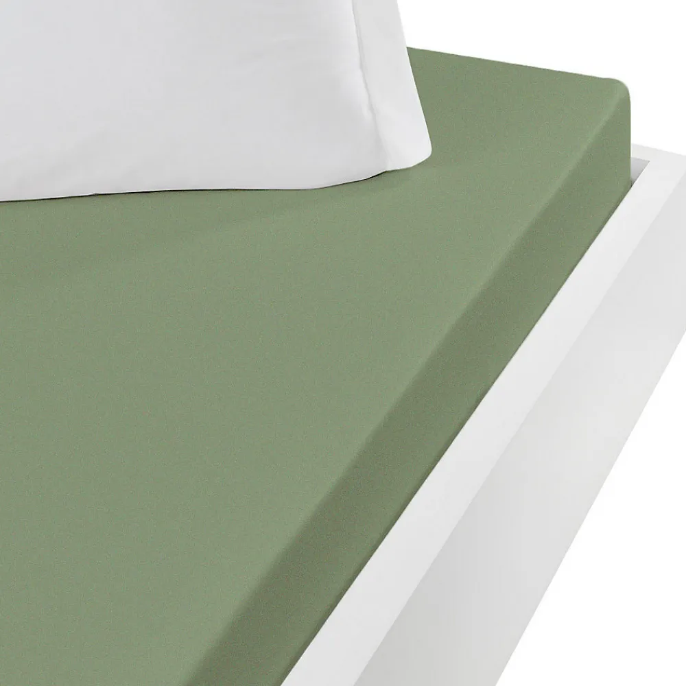 Drap housse jersey coton peigné extensible bonnet 30 cm Sauge 180x200 cm MANHATTAN>Sensei Maison Discount