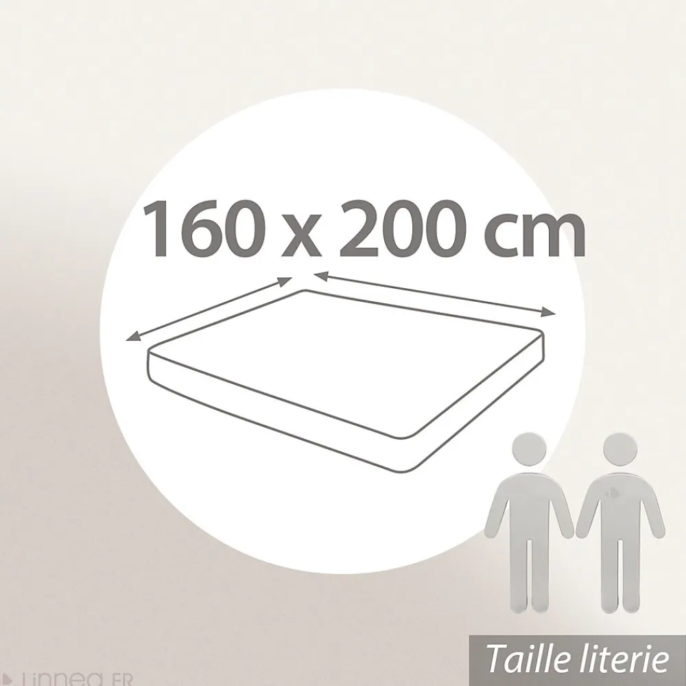 Drap housse 160x200 cm bonnet 40 cm percale de coton PASSION PERCALE vert Kaki>Linnea