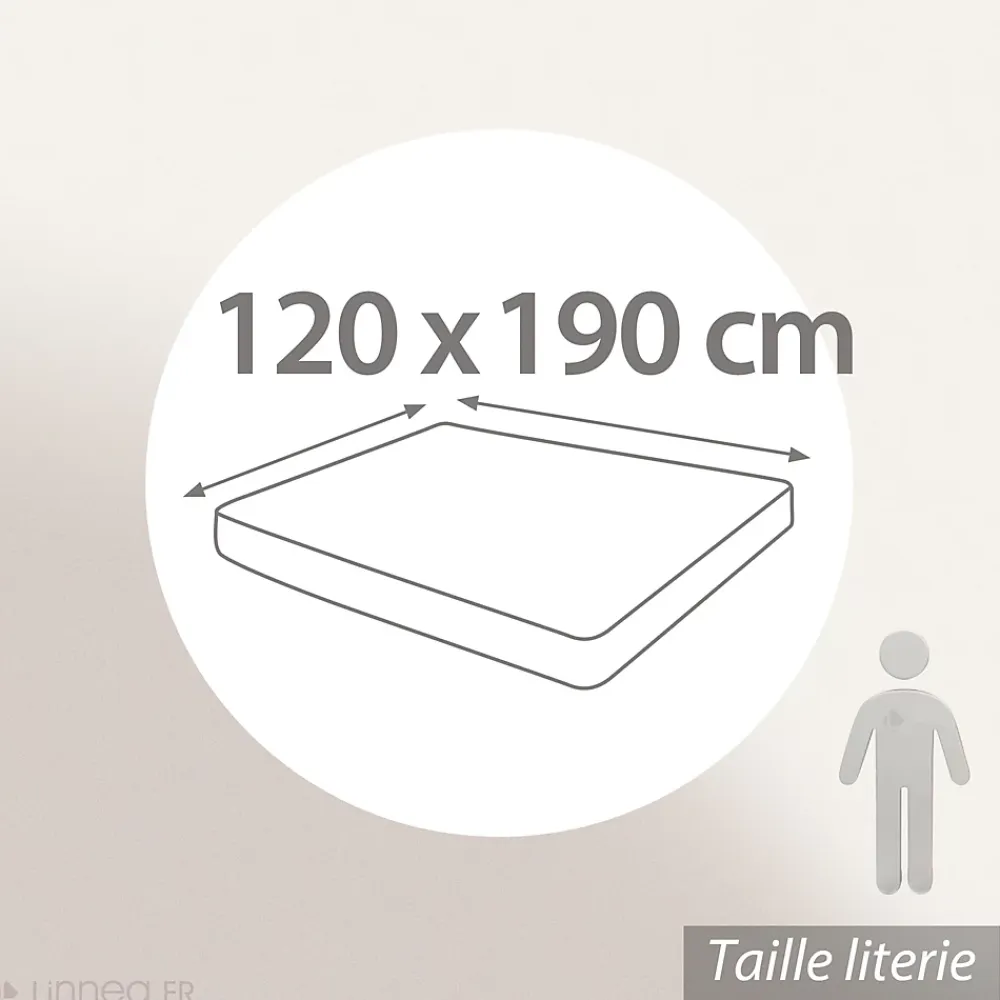 Linnea Drap housse 120x190 cm bonnet 30 coton ÉVASION Vert fougère* Drap Housse|Drap Housse