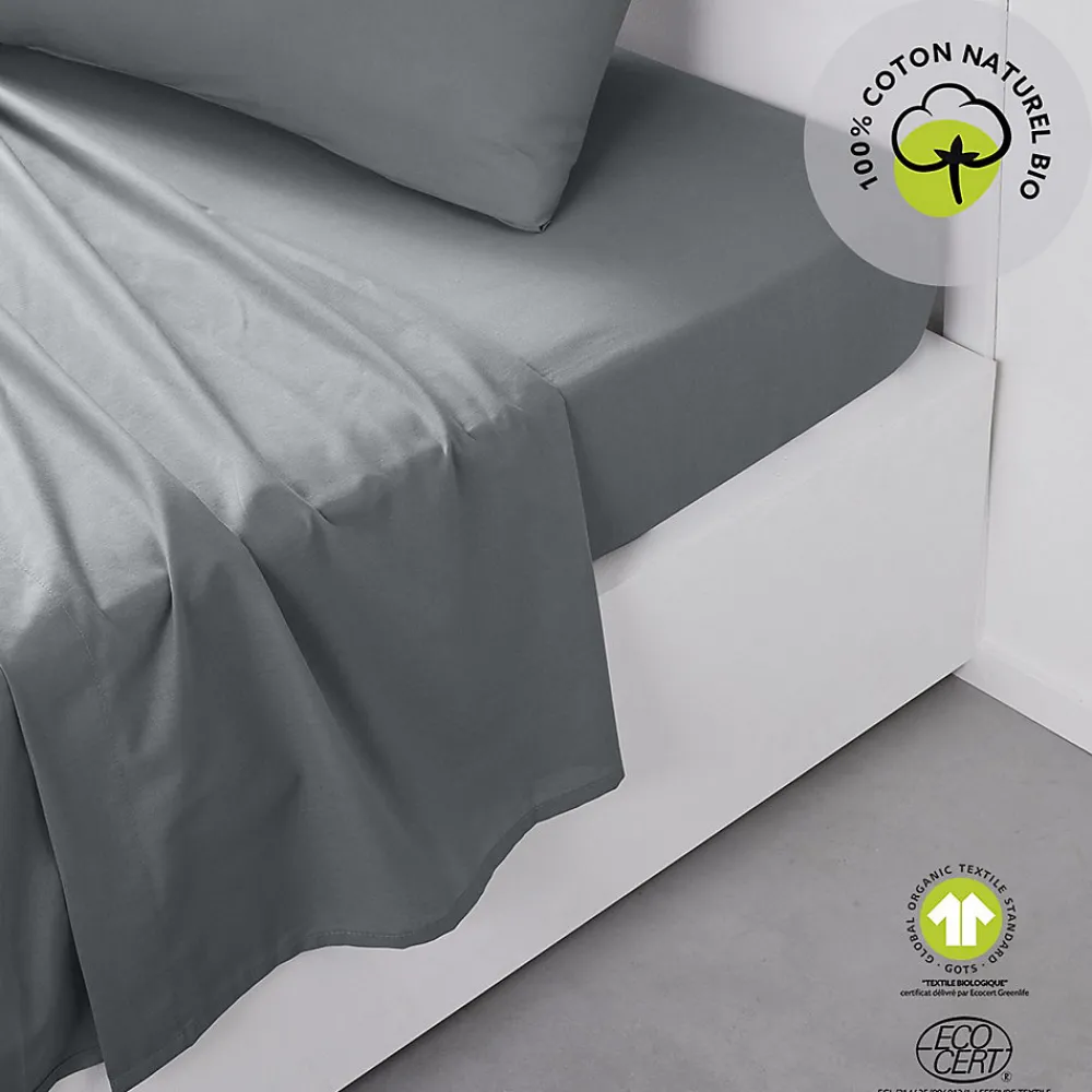Drap plat 57 fils - 100% coton biologique>Today Clearance