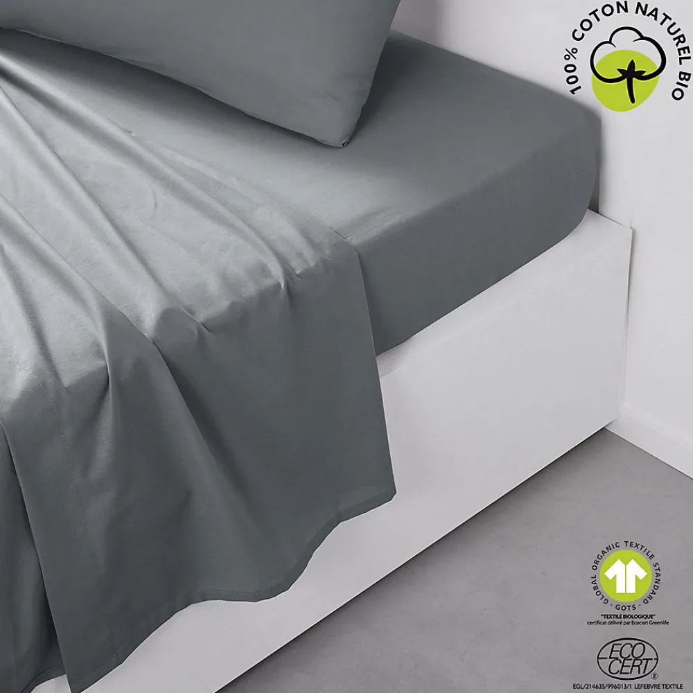 Drap plat 57 fils - 100% coton biologique>Today Outlet