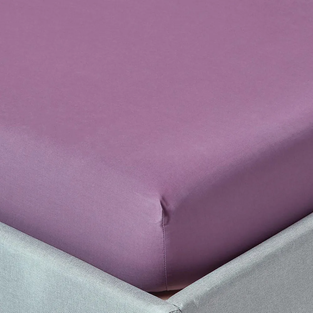 Homescapes Drap-housse raisin 100% coton égyptien 200 fils 120 x 190 cm -* Drap Housse|Drap Housse