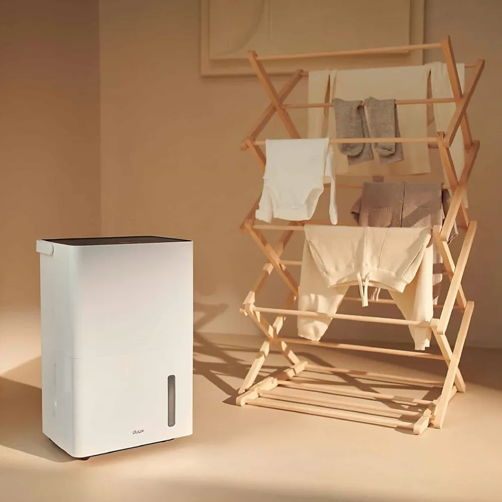 Déshumidificateur Bora DXDH20 20l/j 40 m²>Duux Discount