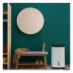 Meaco Déshumidificateur purificateur ARETE ONE 20L/j* Déshumidificateur D'Air