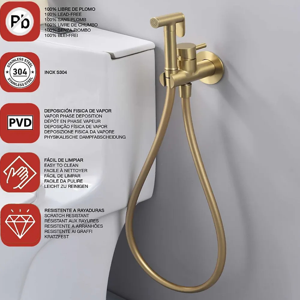 Poalgi Ensemble douchette hygiénique WC SKY BATH or brossé PVD Inox S304 série HARMONY* Nettoyant Pour Wc
