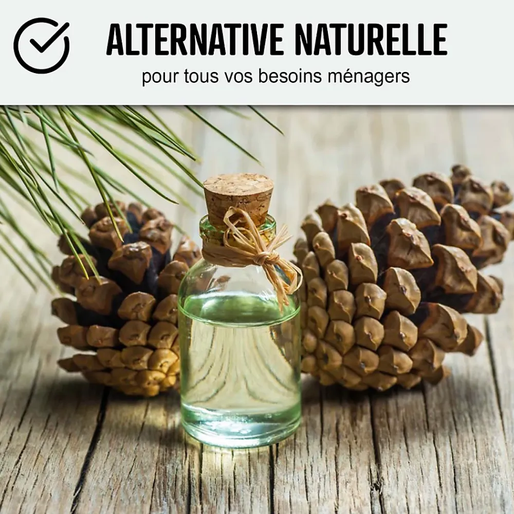Arcane Industries Essence de térébenthine pure gemme bois : TEREBENTHINE 101 - 1 L -* Essence De Térébenthine