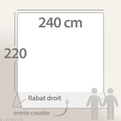 Housse de couette 240x220 cm Satin de coton PANTHEON Bleu clair><noscript><img width=
