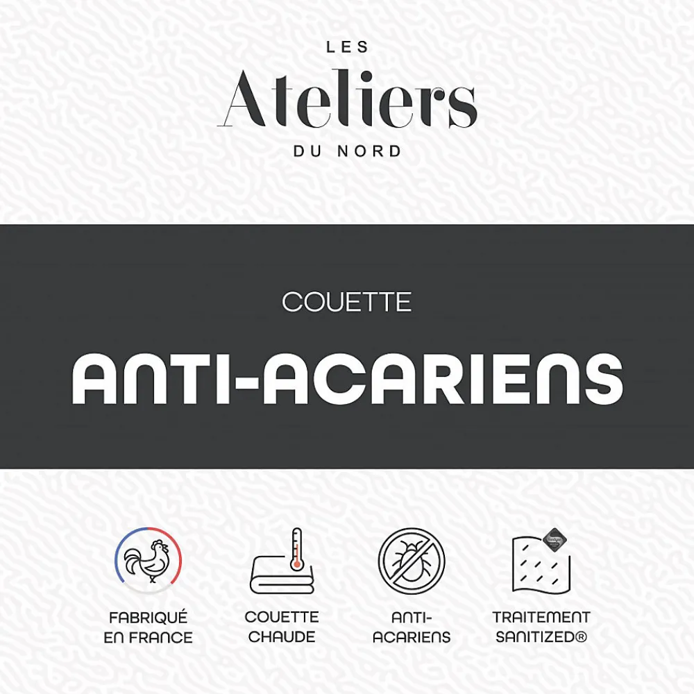 Les - Couette Chaude Anti-acariens 200x200cm>Ateliers Du Nord