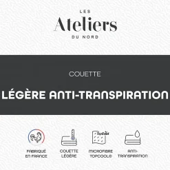 Les - Couette Légère et Anti-transpiration 140x200cm><noscript><img width=