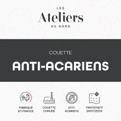 Ateliers Du Nord Les - Couette Chaude Anti-acariens 140x200cm* Couette