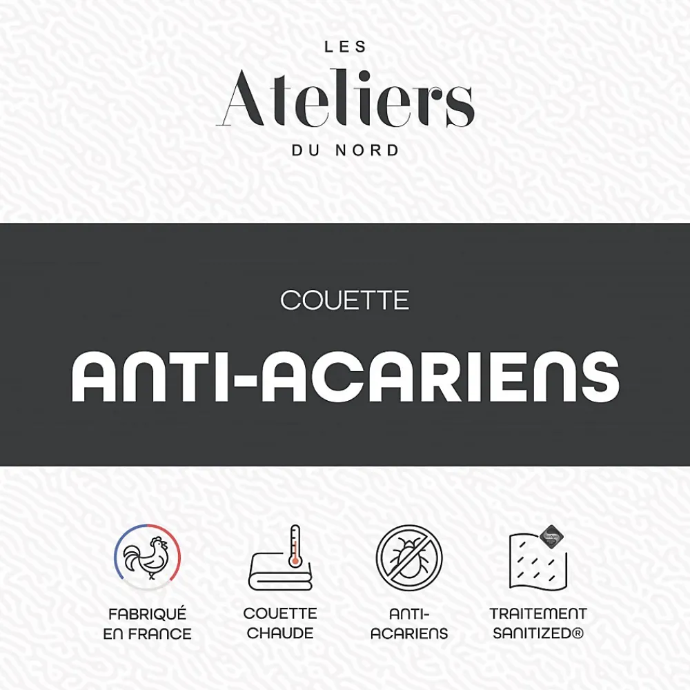 Ateliers Du Nord Les - Couette Chaude Anti-acariens 140x200cm* Couette