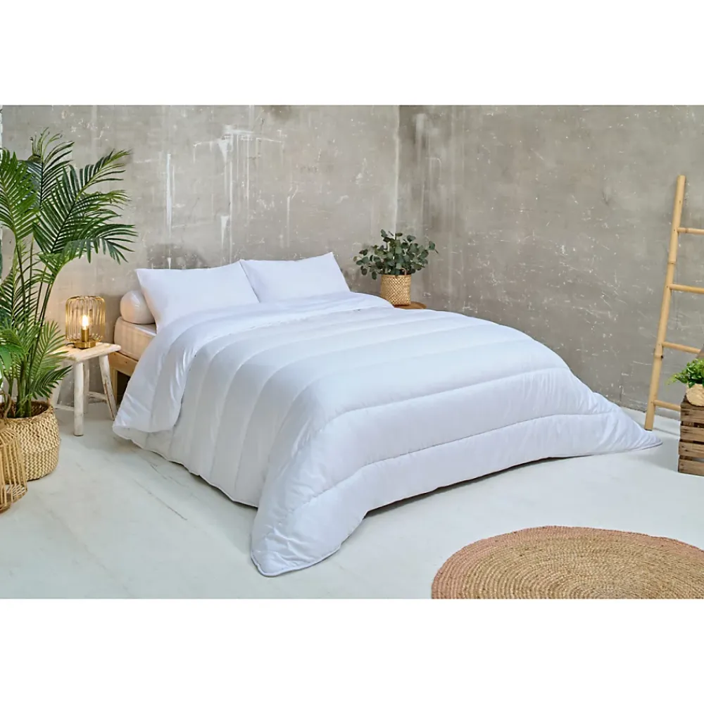 Ateliers Du Nord Les - Lot de 2 oreillers moelleux Anti-acariens 45x70cm* Oreiller Moelleux