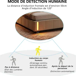 Lit coffre 160x200 cm avec rangement, capitonné velours beige, sommier LED, lattes><noscript><img width=