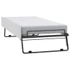 Petits-Meubles Lit gigogne 90x200cm sommier inclus Vox Young User Blanc* Lit Gigogne