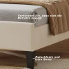 ProximaX Lit simple capitonnés 90 x 200 cm - tête de lit en forme de fleur - sommier à lattes - velours - Beige* Lit Coffre