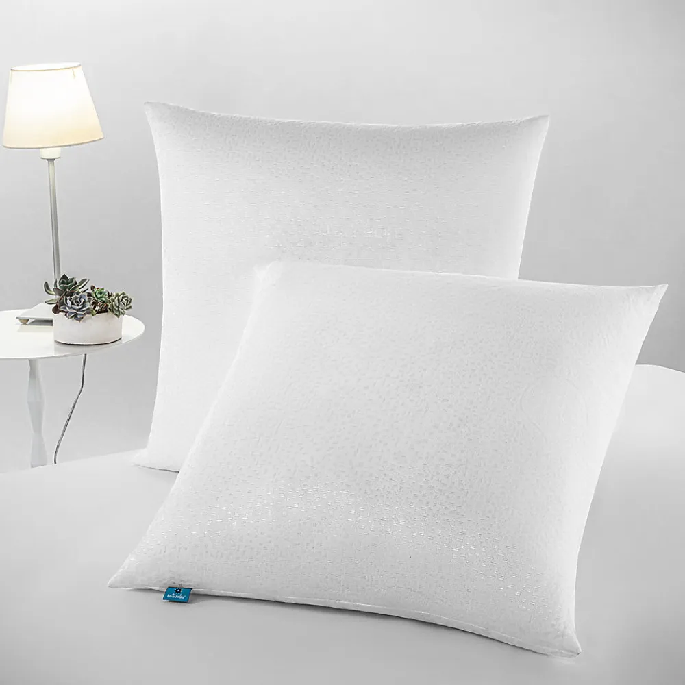 Lot 2 Oreillers 60x60 cm - Tissu Doux Aloe-Vera - Rembourrage copeaux de mousse HR - Mantien Souple>Naturalex