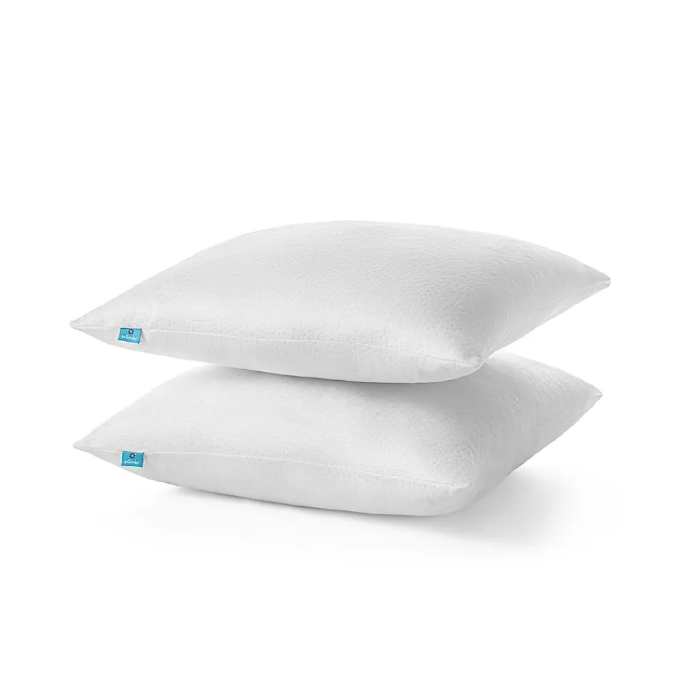 Lot 2 Oreillers 60x60 cm - Tissu Doux Aloe-Vera - Rembourrage copeaux de mousse HR - Mantien Souple>Naturalex