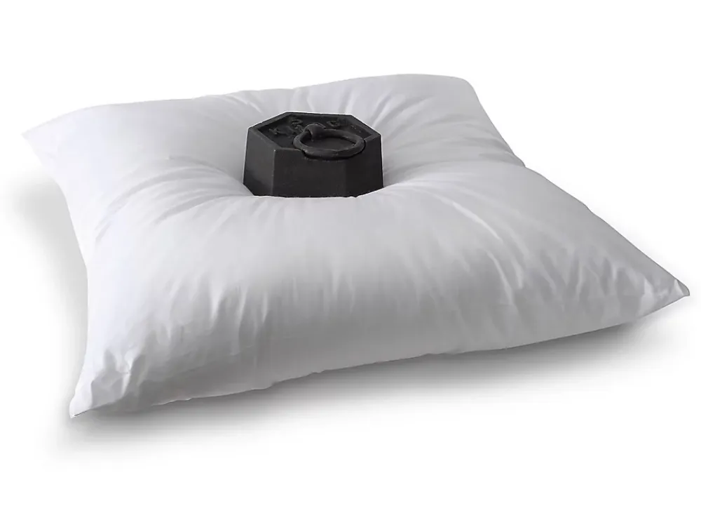 Vente-unique Lot de 2 oreillers - 60 x 60 cm de DREAMEA - 600 gr - MARIN* Oreiller Moelleux